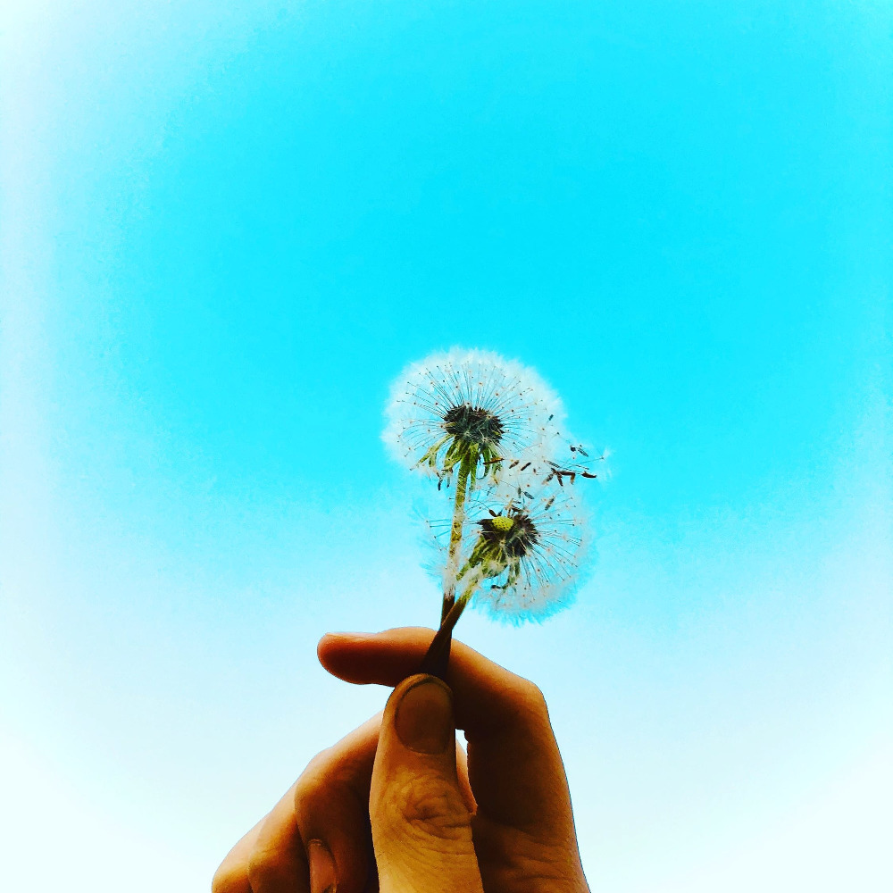 Meet your Posher, Brooklyn